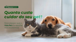 Quanto custa cuidar do seu pet? Descubra por que o Vida Pet é a escolha mais econômica